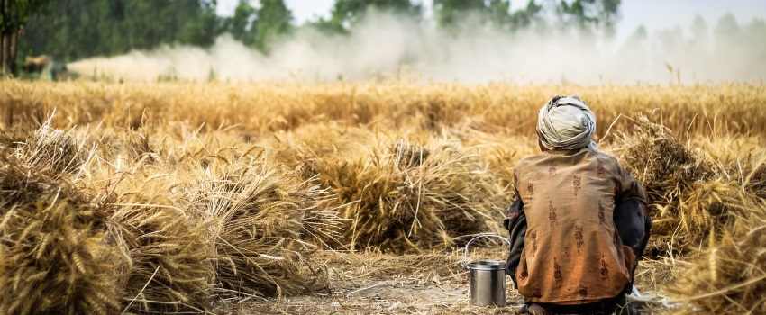 intolerancia gluten