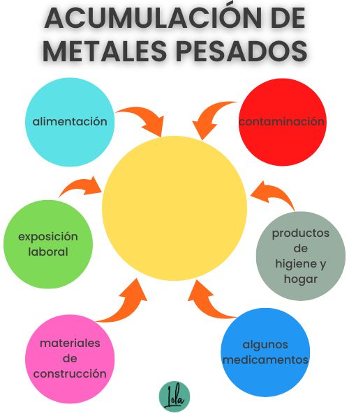 acumulacion metales pesados