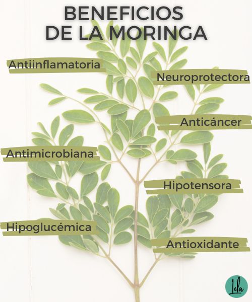 beneficios de la moringa