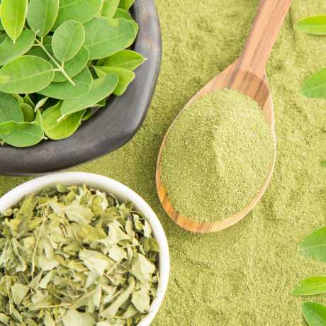 propiedades moringa