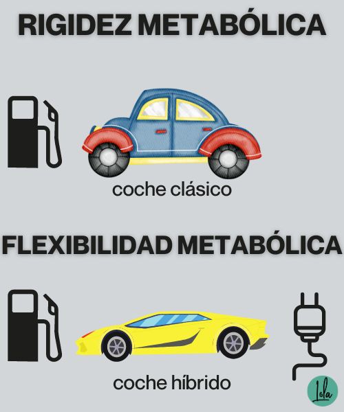 como mejorar flexibilidad metabolica