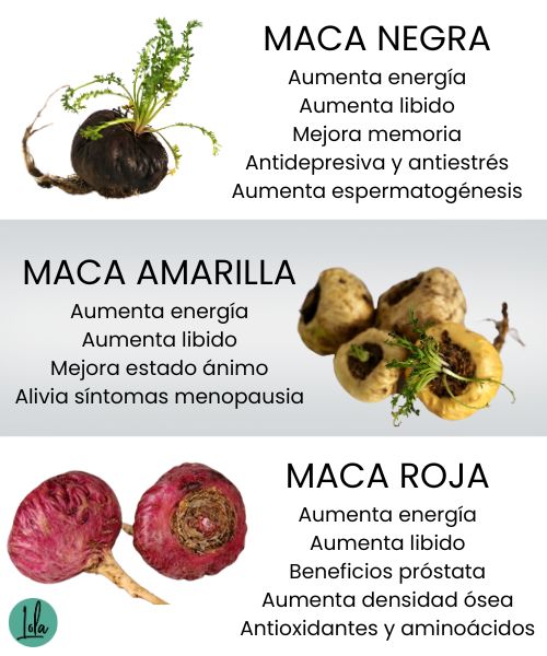 maca andina propiedades