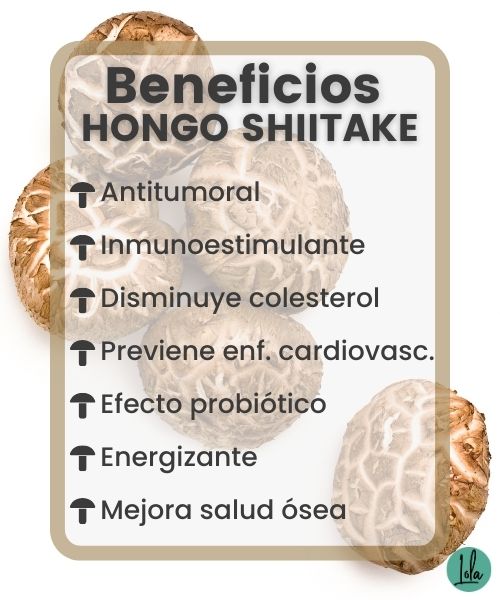 hongo shiitake propiedades