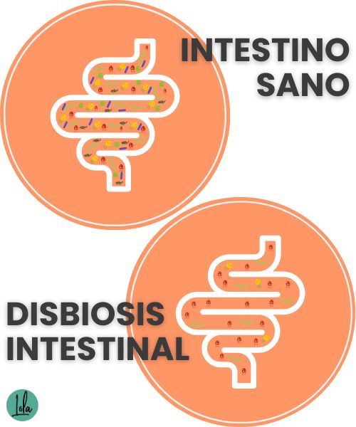 Intestino sano y disbiosis intestinal