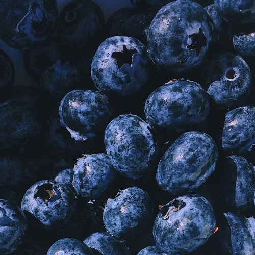 alimentos ricos en antioxidantes