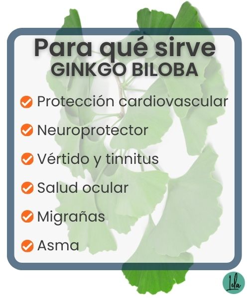 para que sirve ginkgo biloba