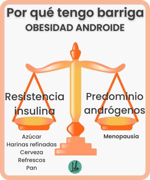 causas obesidad androide