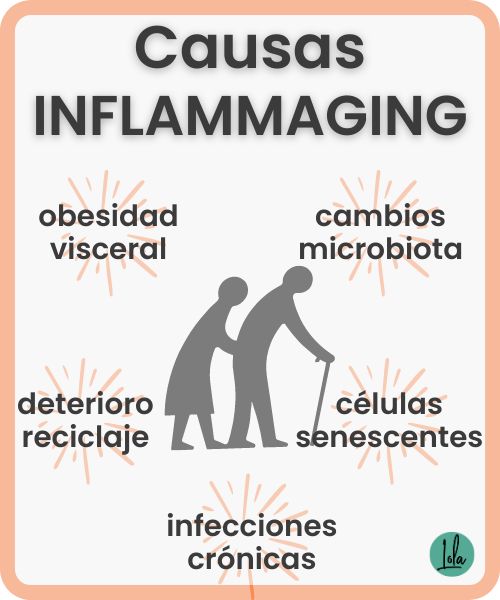 Causas inflammaging