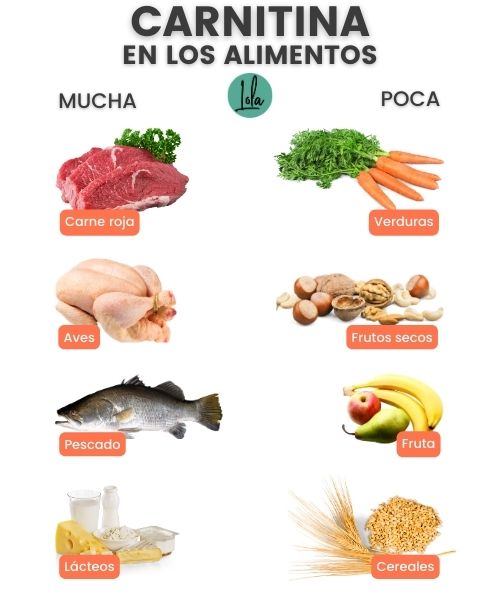 Carnitina en los alimentos