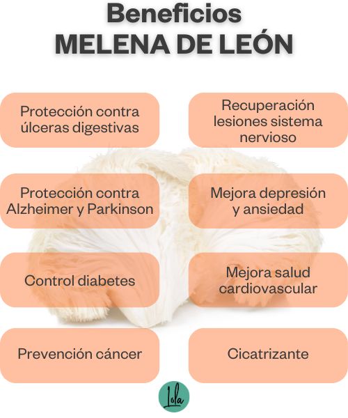 Beneficios melena leon