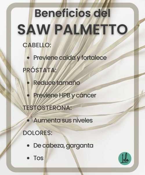 Beneficios saw palmetto