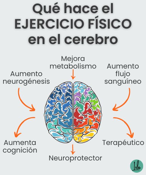 que hace ejercicio fisico cerebro