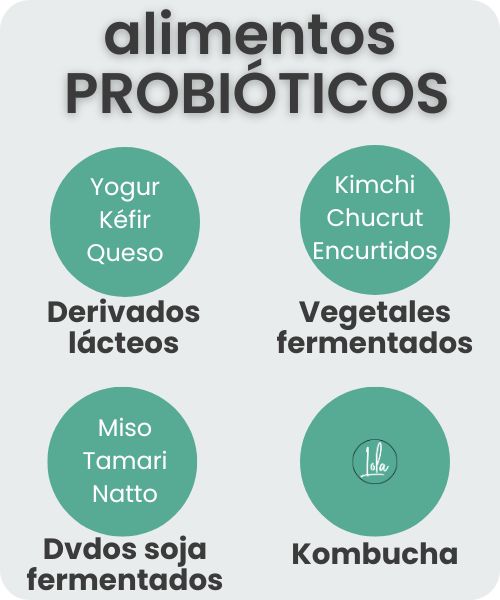 alimentos probioticos cuales son