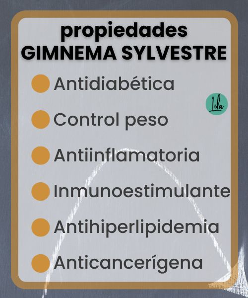 Gymnema sylvestre: el aliado contra la diabetes 1