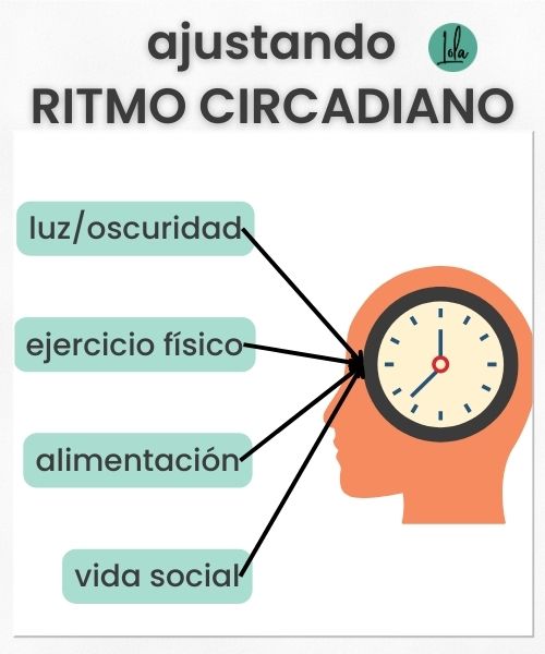 ritmo circadiano que es