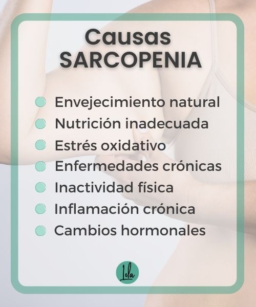 Causas sarcopenia